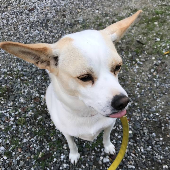 B7135340 e75c 4736 a7d9 13b46d0edb03 1540726726297