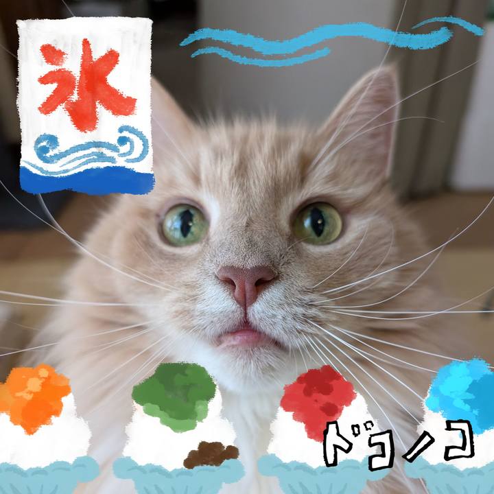 B7136ef1 20ad 4444 bbf2 ae33d62ce9d2 1723509778010