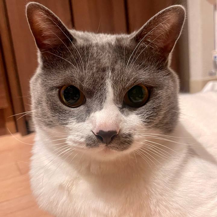 B7138096 16f7 420e 805a d2edc428cdfa 1653560784862