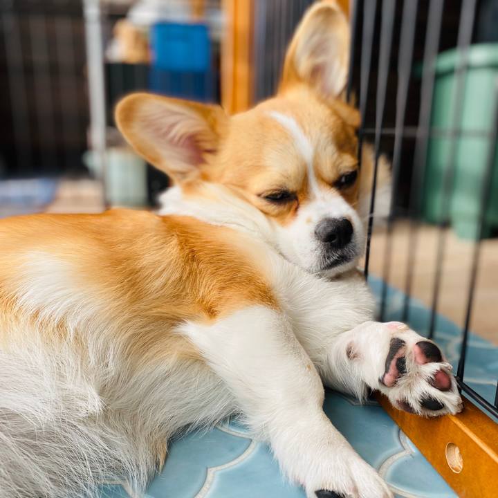 B7139da9 2f89 49e4 b234 c5d9de4cb117 1582264768721