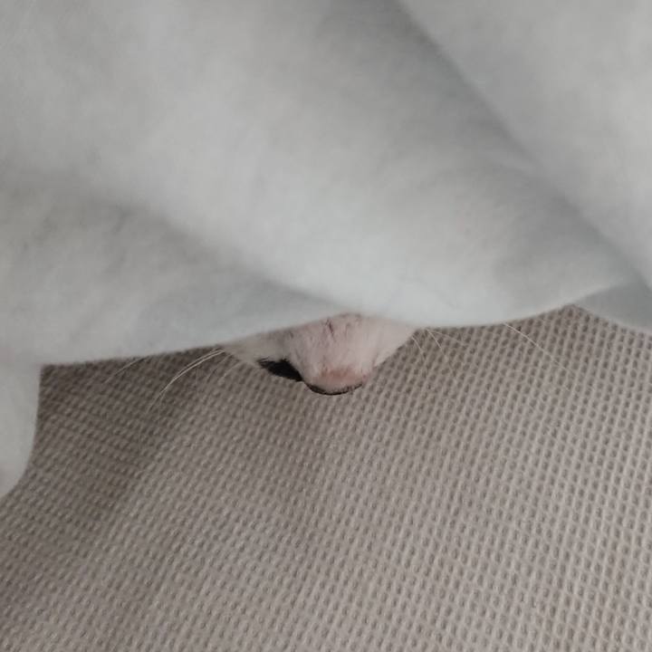 B713f6b0 ab40 4fb4 b702 f9c054db9245 1674858023691