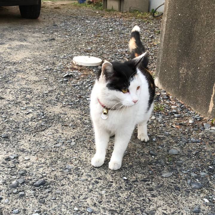 B714072c 7a75 4d7c 9a08 e274de81e2a0 1613773283748