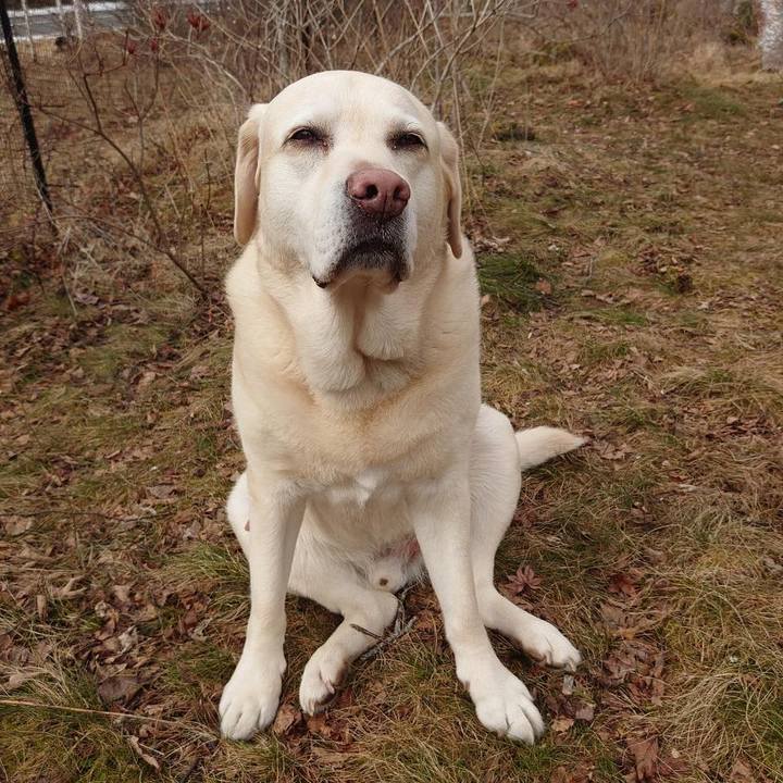 B7140fe4 c0d3 4883 ab4c d2ebdb87bb4b 1743997815011