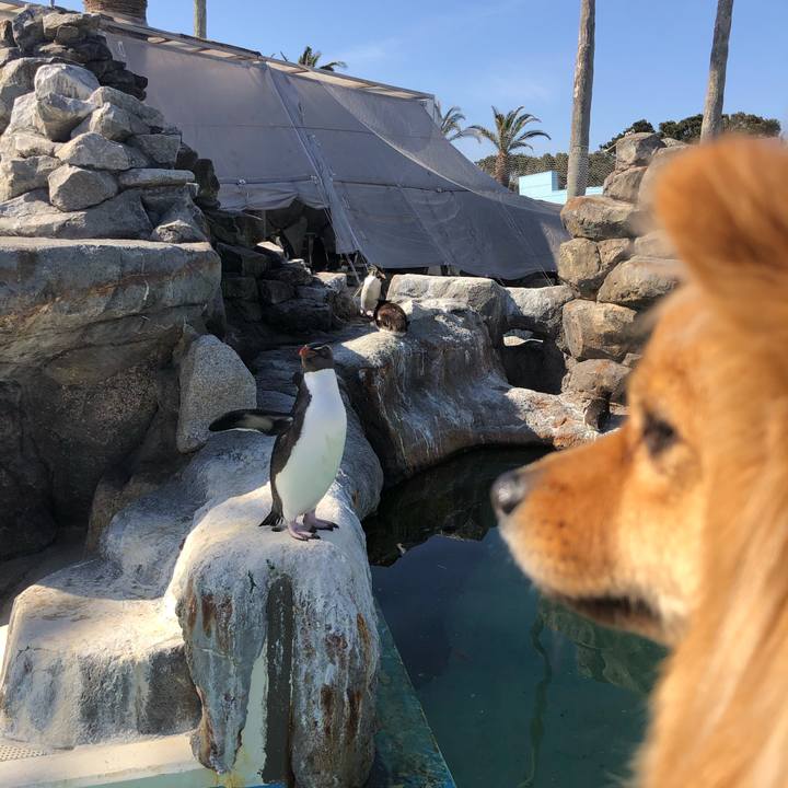 B714a1c2 3422 4183 a966 fd779845ac20 1614489339466