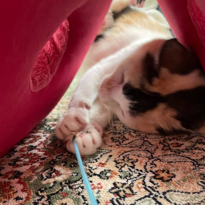 B714afb7 5ee6 4332 8f5d fec3e51748f4 1677022056218