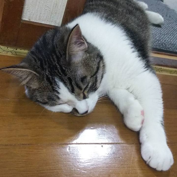 B714c073 a3e6 4f17 897f 815e218765d1 1619527308397