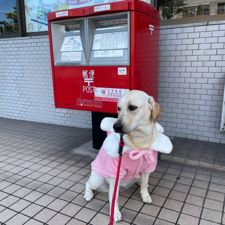 B714c522 0606 49ff b018 355fce7126bd 1634527336604