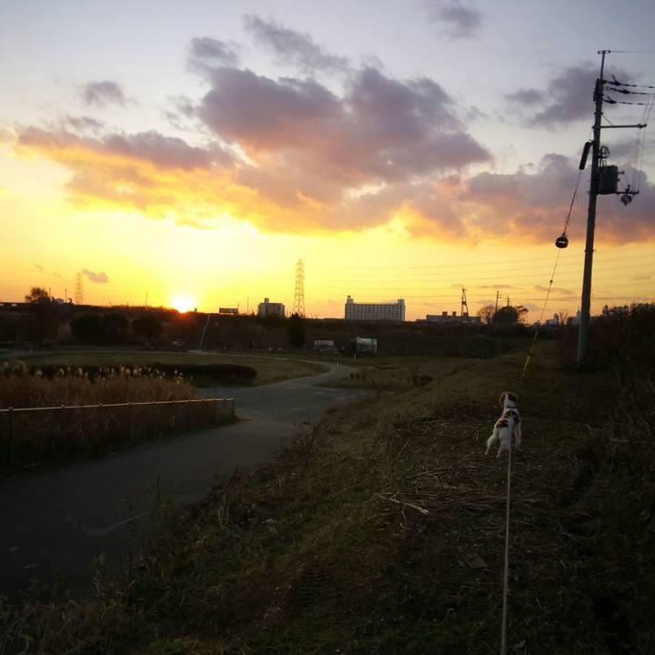 B714d1de 873d 4466 80f6 6897fe5e67f4 1513844490516