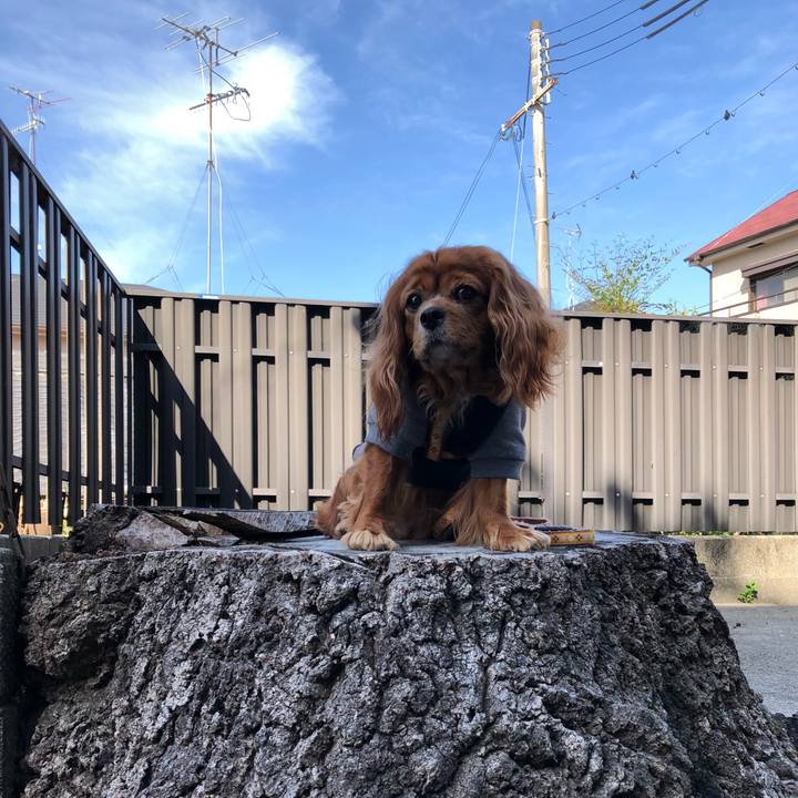 B714f4f2 c3fb 470f 95a0 e36f978b2aba 1650154264747