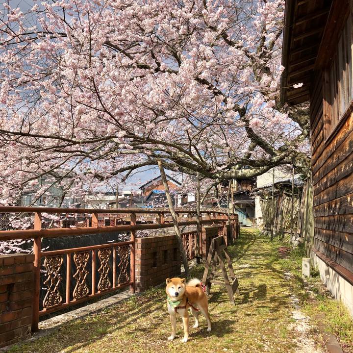 B714fcf3 1d65 451f 9c73 ce7e2f3c7e53 1554713557544