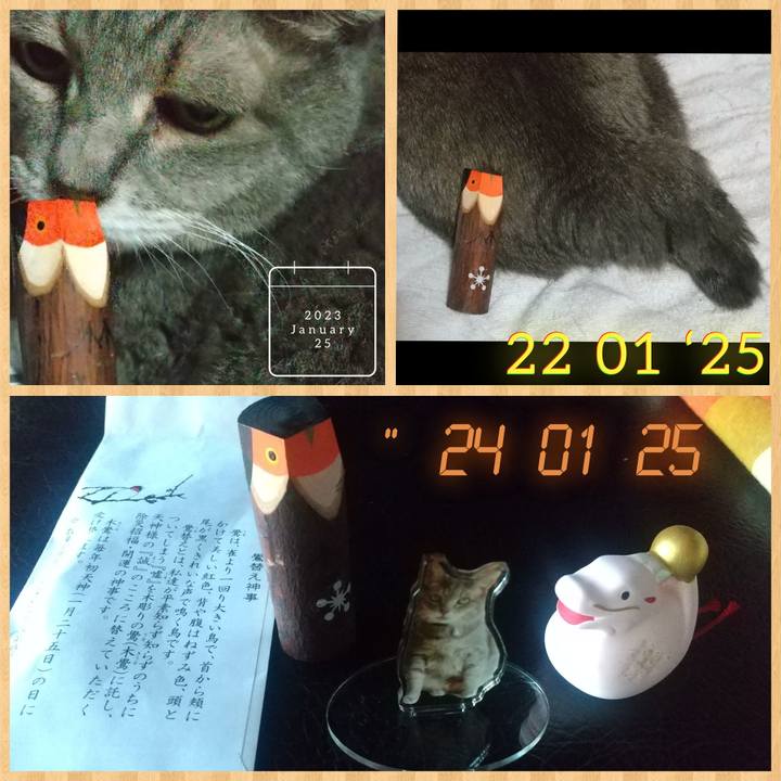 B714fe7f 7df6 434f b3f6 caefa840eb13 1706166638694