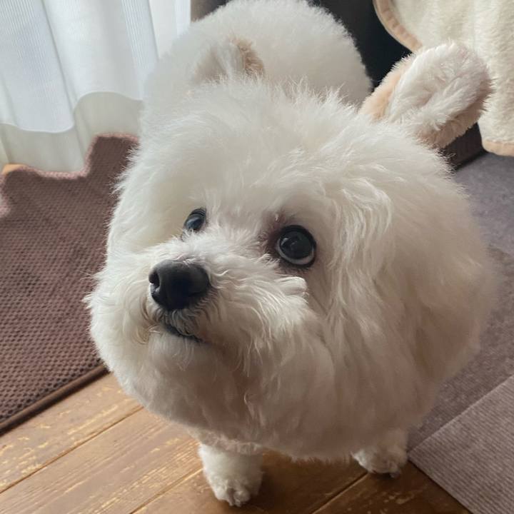 B715461e af47 4383 bdeb f4d2fafba719 1610773855370