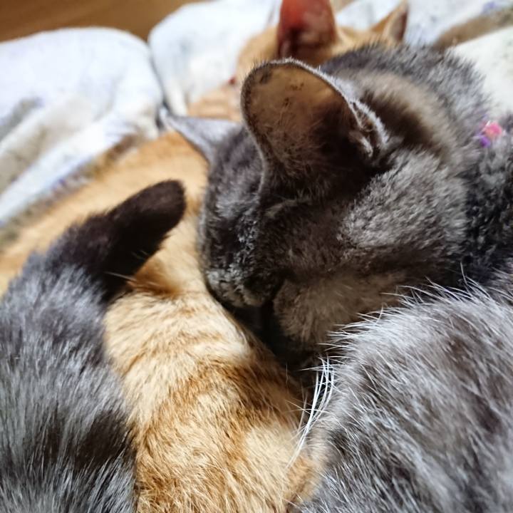 B71571a8 e616 4830 b689 3aa4ad71a807 1578830562933