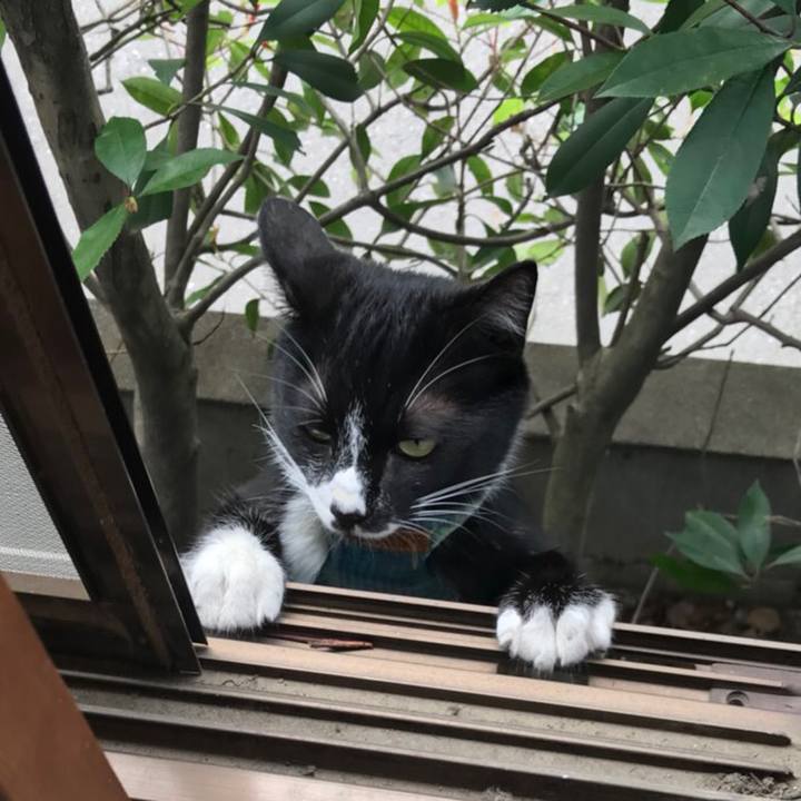 B715866e f16c 44cd 8a15 2250cef7cde0 1528083672218