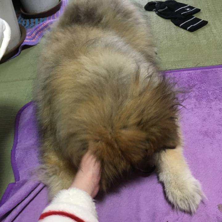 B715893c 3414 42ba ab6c 947b2668b3a7 1557903773073