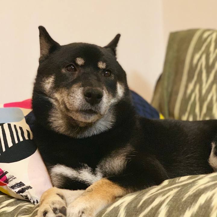 B715971c 026a 4afd 81ec a874e330839f 1568808755428