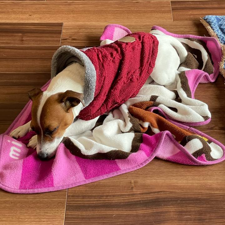 B715a161 9350 48ab ad29 c87552fbe76c 1642983075672