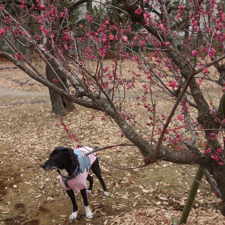 B715b8ab 0003 4440 825f 1e3548c5565a 1706403383642