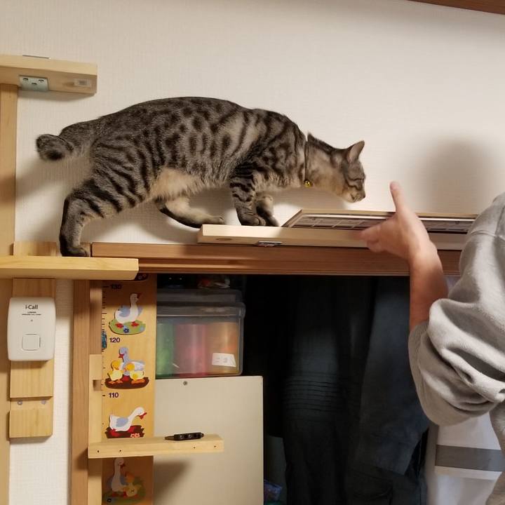 B715e375 d6a4 4d36 8438 29225e893ff3 1674973890888