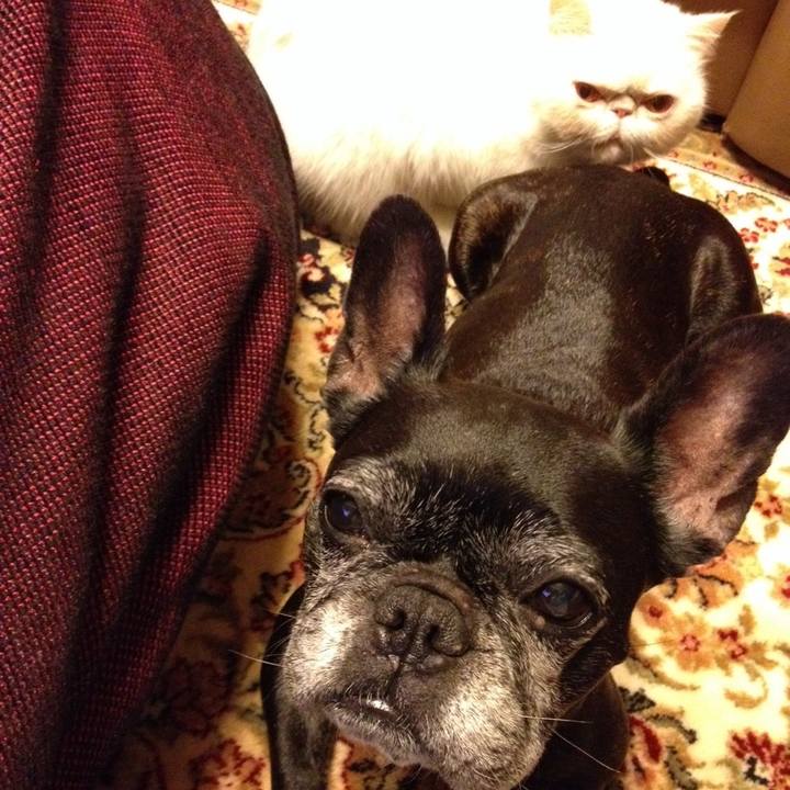 B7160749 48a4 4fd3 8380 da7c77414385 1769079293486