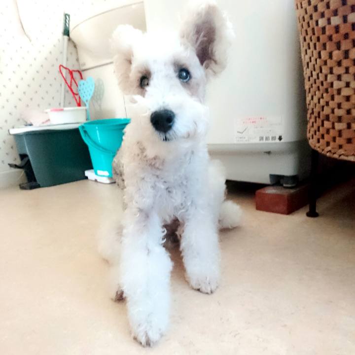 B716192d b18c 4fe9 af9b 3eabe6e51c22 1511576836986