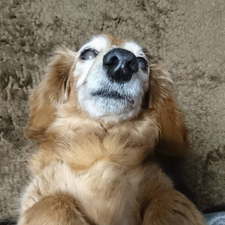 B7162c13 9233 4516 a729 b4b6fe949faa 1517678819444