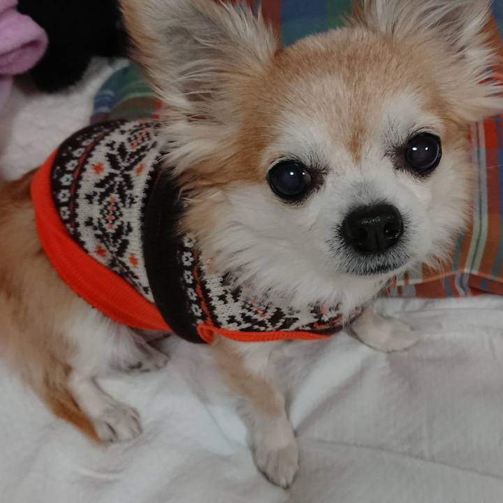 B71631d0 d913 4861 a03d c1b613ece489 1514549572791