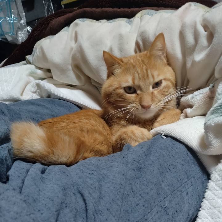 B716548d 6d2f 400c beb5 a9fc06d0ac5e 1707342138832