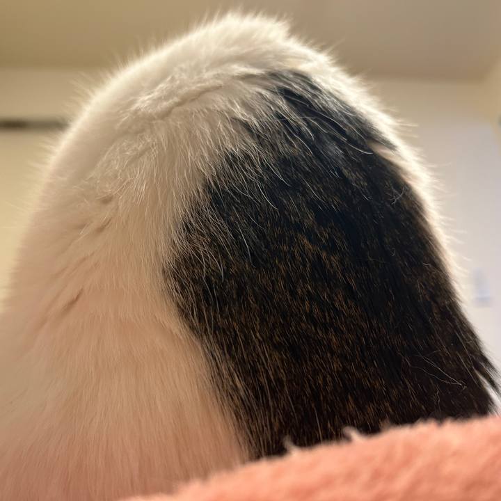 B7165e41 3e28 4362 ba14 f8c05367ec06 1763587978979