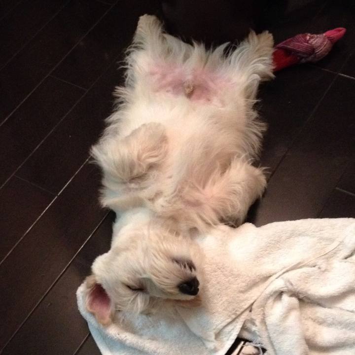 B7166e80 344d 4af6 9140 ce1758733ef4 1525972149152