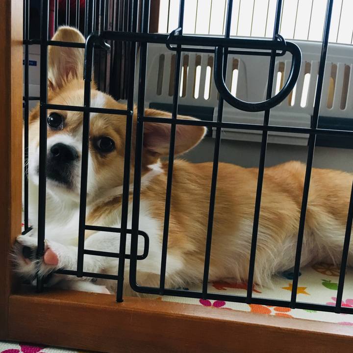 B716851f 7d6a 457d aed2 e68f1cad4ea9 1561421743546