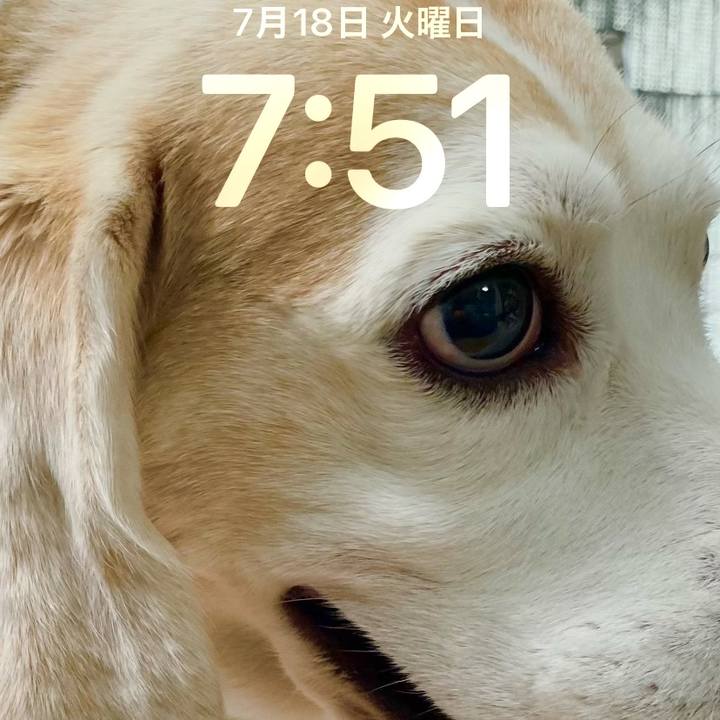 B7168e31 4681 45a7 a681 cc0227382706 1689634424737