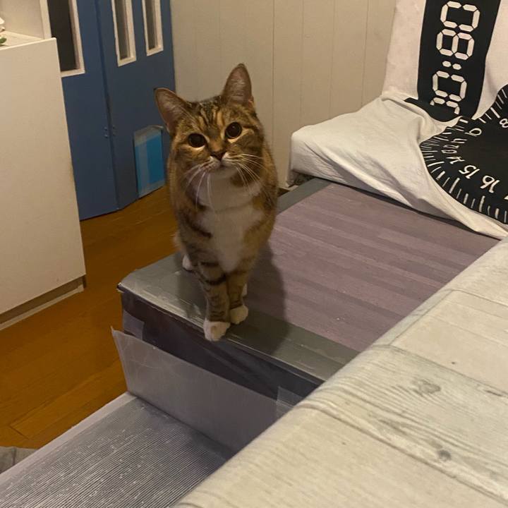 B716b443 3882 4a4e b17b 3b4d145abfdd 1673969287693