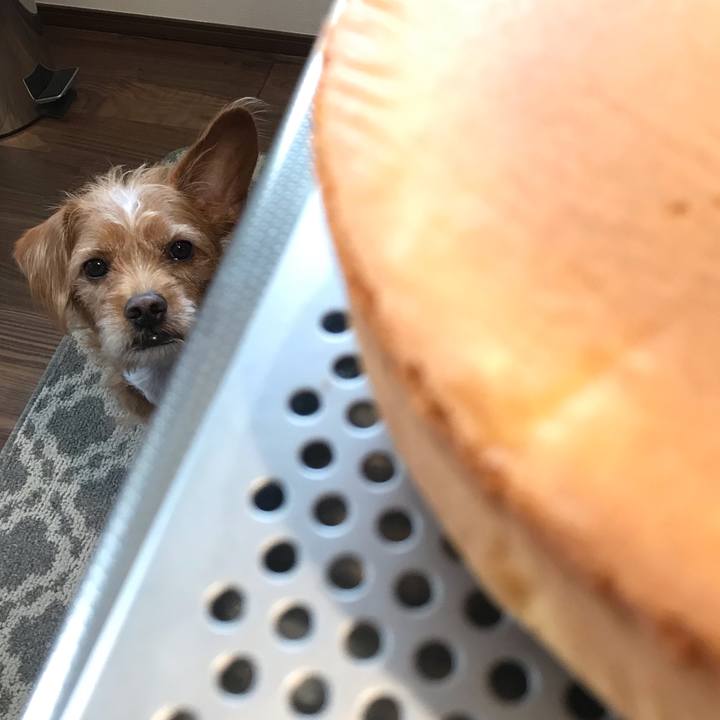 B716b86f 8b46 4c60 a890 4da46405dc8b 1578465330461