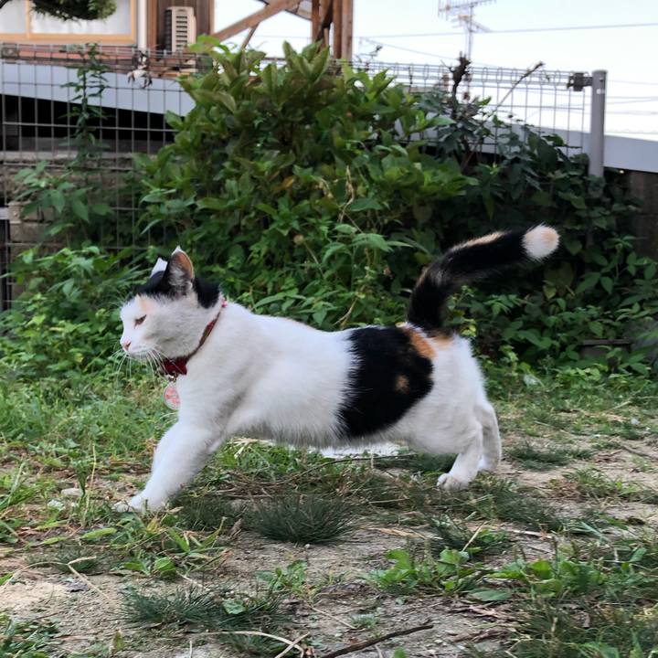 B716cb61 8781 49bb b7c0 cf54566a3fe0 1633168136577