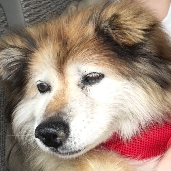 B716d395 d7b9 4d33 9958 9655626535ef 1558234178530