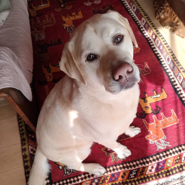 B716f45b 0f25 45e1 b28a 74fd05b42316 1613014576531