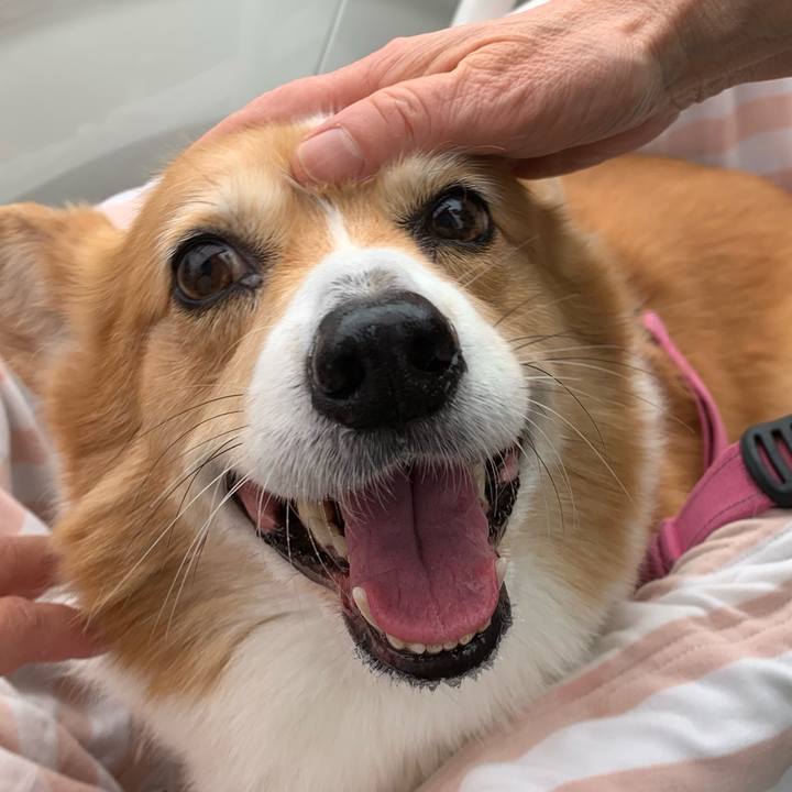 B716fff7 edae 4188 a2e1 0d11a7f3bdf1 1714522907852