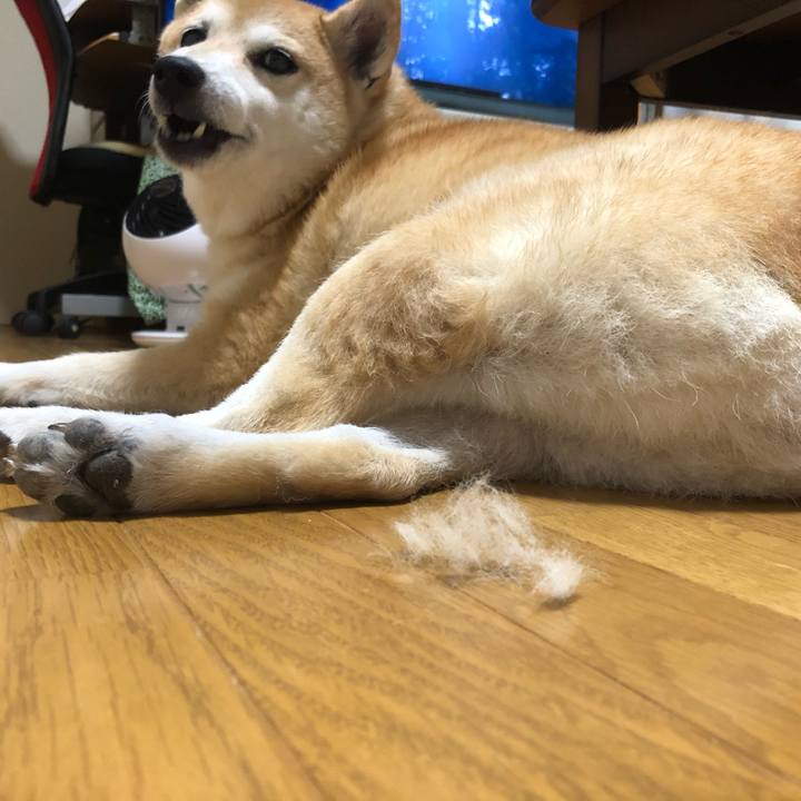 B7170687 59a1 4481 bfe4 205ab987ab4f 1600326887296