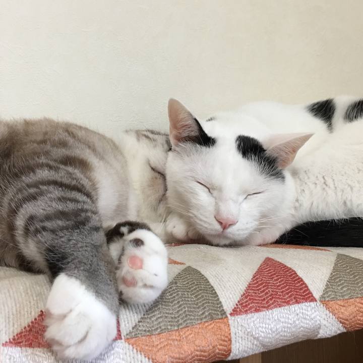 B71711b0 658b 4a47 b3bb d75f96aea7e0 1526806331799