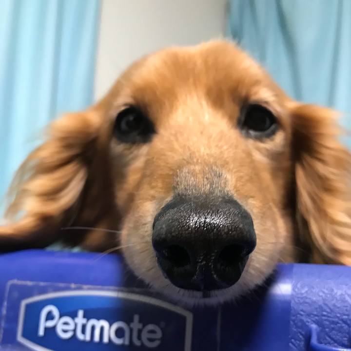 B7172779 3875 4749 a321 98c57814db41 1523527939591