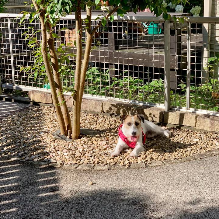 B7177dbf 9a4c 43ce 8883 66f627c1f2bd 1656160740591