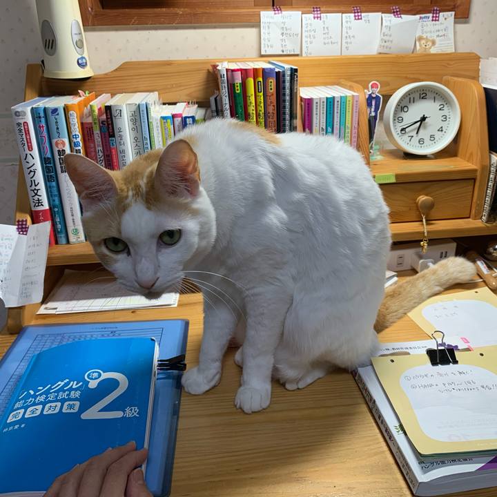 B717a00e 4b94 470f 8898 6721de62f6f4 1636753236305