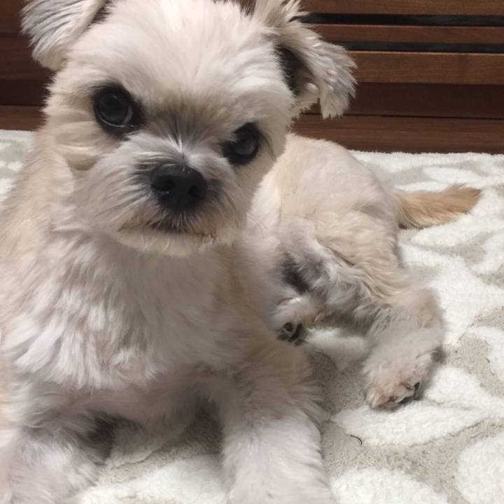 B717d724 27c0 4af8 9a7f 83f0b552d9fa 1543407488437