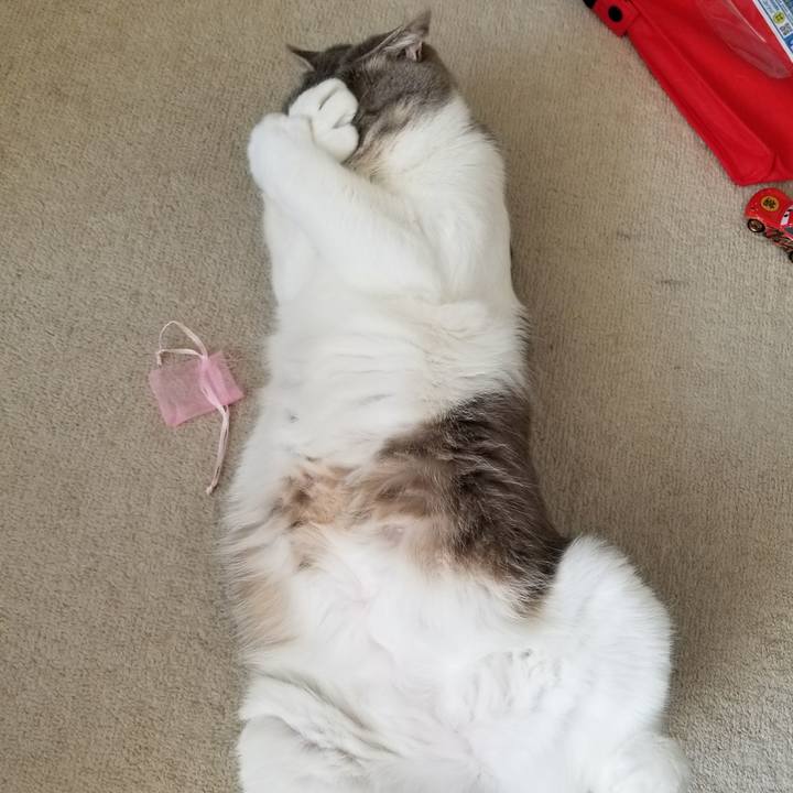 B71824d3 f019 498f bea4 c9a8340623ff 1519712766276