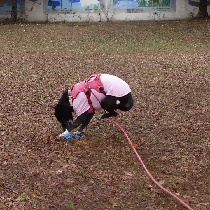 B7182d03 23dd 444e b4ca 665a6950f8fd 1702256075373