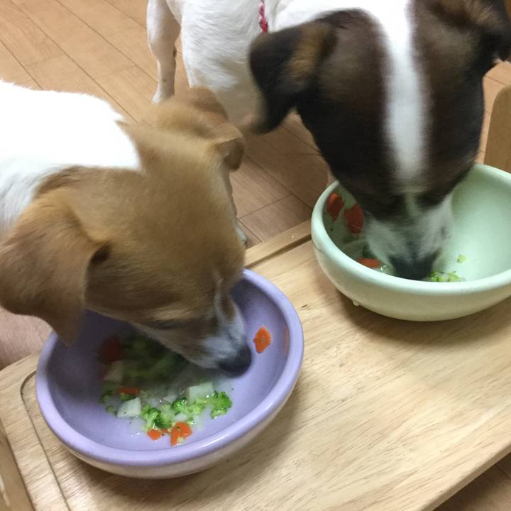 B7187a46 66bd 4307 9d4f 6576c203fbe7 1552295481892