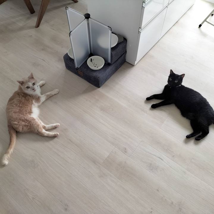 B71884c5 60d4 45ac b985 b9758e3cfc28 1686781627316