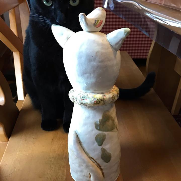 B7188503 3d0a 41fd aa97 497740f4e07c 1645398550805