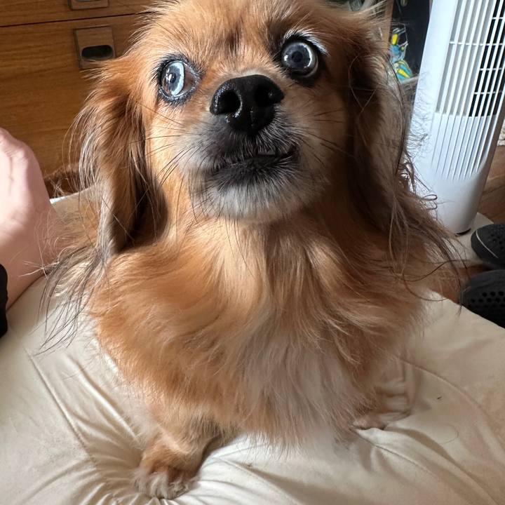 B718856c da44 49d3 86ca 1c4e2807b410 1694993758902